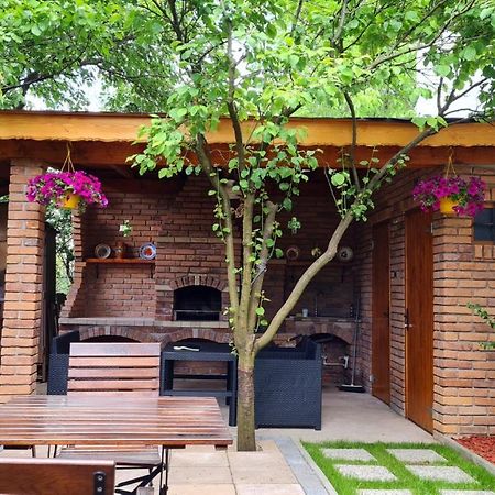 Cozy House With Nice Garden In Heart Of City Center Vila Cluj-Napoca Exterior foto
