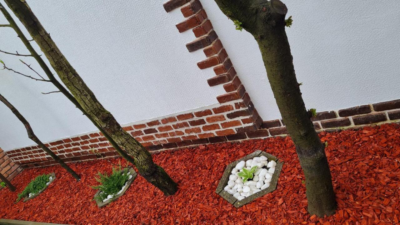 Cozy House With Nice Garden In Heart Of City Center Vila Cluj-Napoca Exterior foto